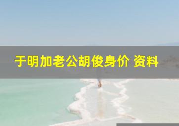 于明加老公胡俊身价 资料